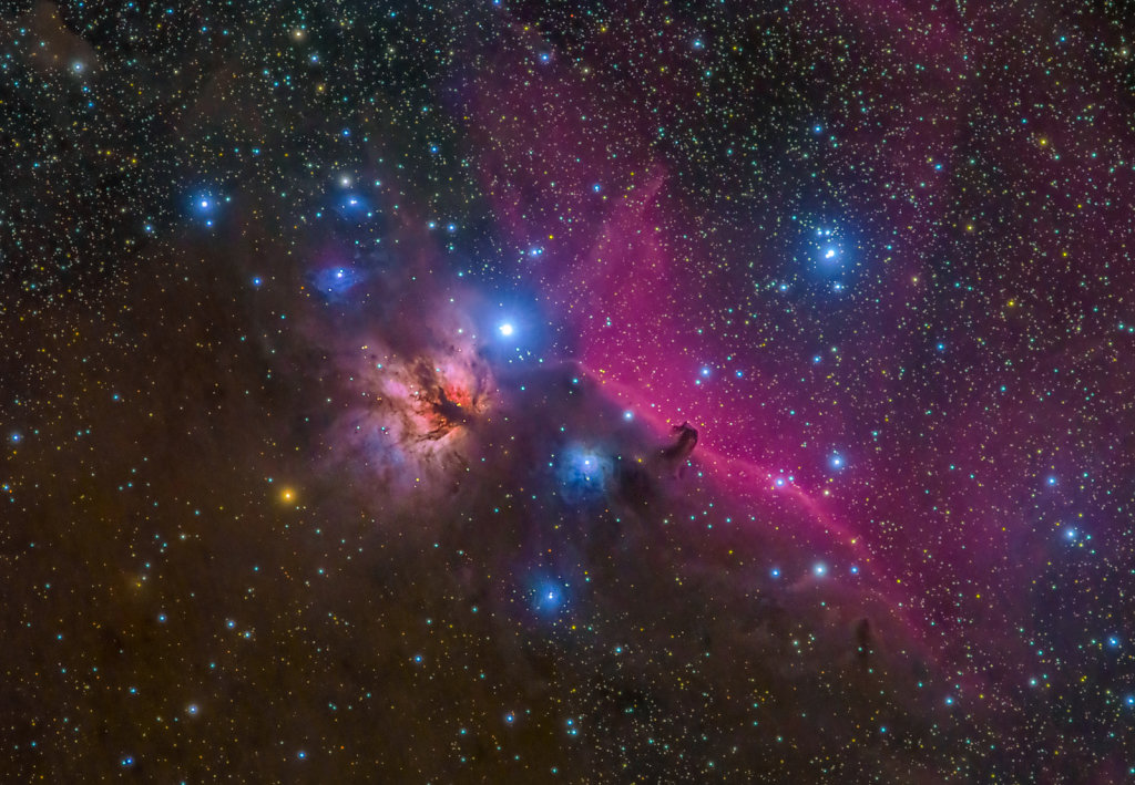 The Flame and the Horse Head nebula