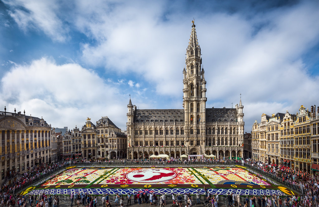 Brussels flower carpet